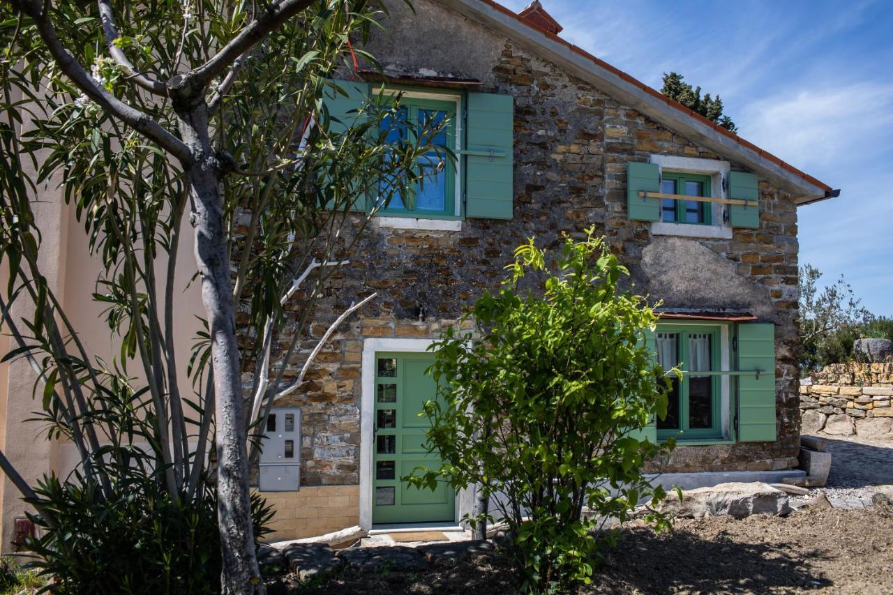Istrian Green House Порторож Екстериор снимка