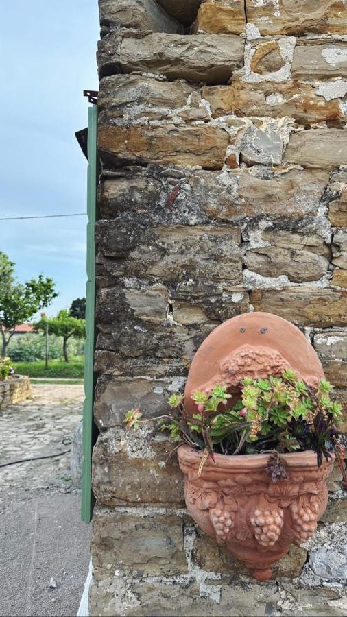 Istrian Green House Порторож Екстериор снимка