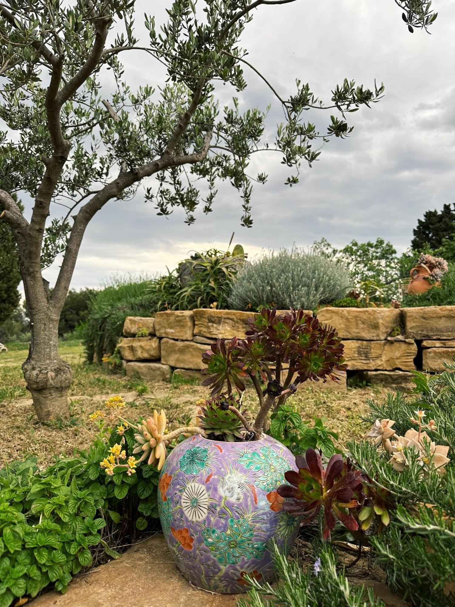 Istrian Green House Порторож Екстериор снимка